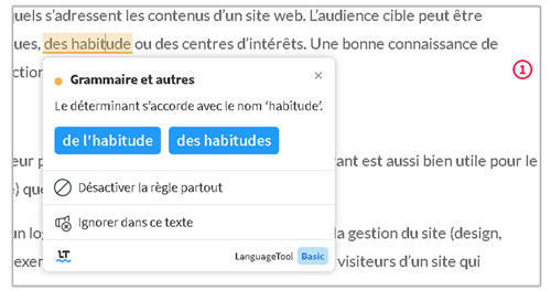 Les 10 meilleures extensions Chrome pour les rédacteurs web 1 Language ToolOK 1