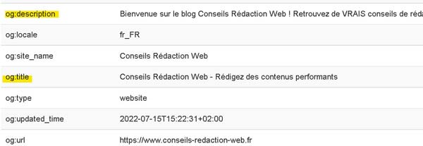 Rédacteur freelance : mes 7 outils indispensables 9 Extension Web Developer : affichage des balises meta