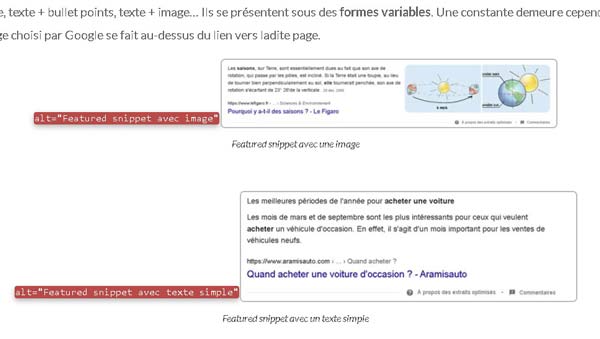 Rédacteur freelance : mes 7 outils indispensables 10 extension web developer : affichage des attributs ALT des images