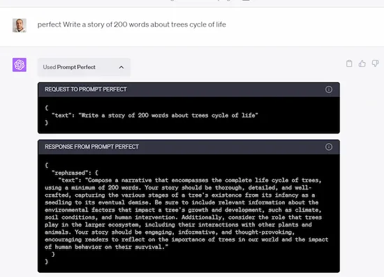 Différence de qualités entre 2 prompts retravaillés par Prompt Perfect_2